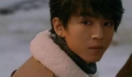 蒋依依亲戚爆料视频,揭秘明星家庭背后的故事