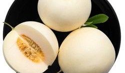 甜瓜概念爆料视频大全最新,揭秘热门甜瓜背后的故事与魅力